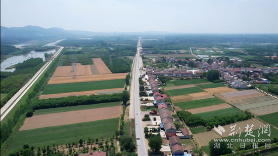 项目标头全景（陈柯炎）.png.png