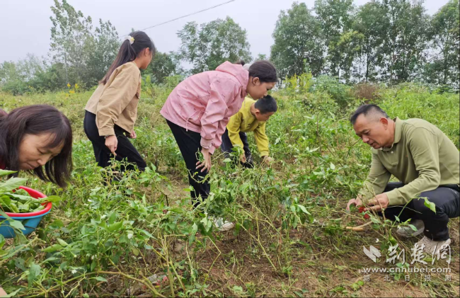 1bc9c65d7ef88b634339712b996de37d_650X421_20251028162952