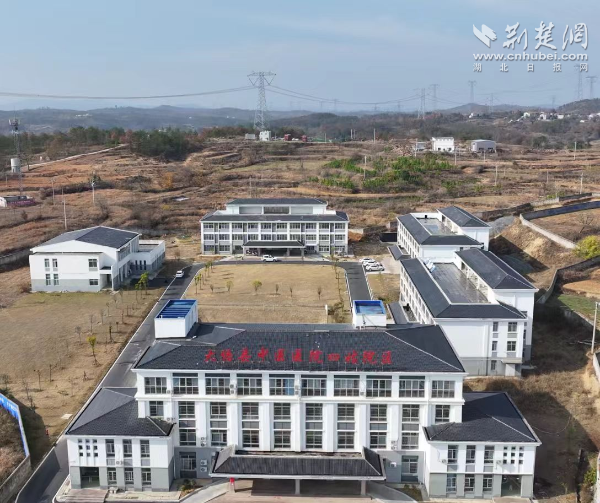 99751910ca8224e89d3c6cc3b7333a23_600X503_20251126105358