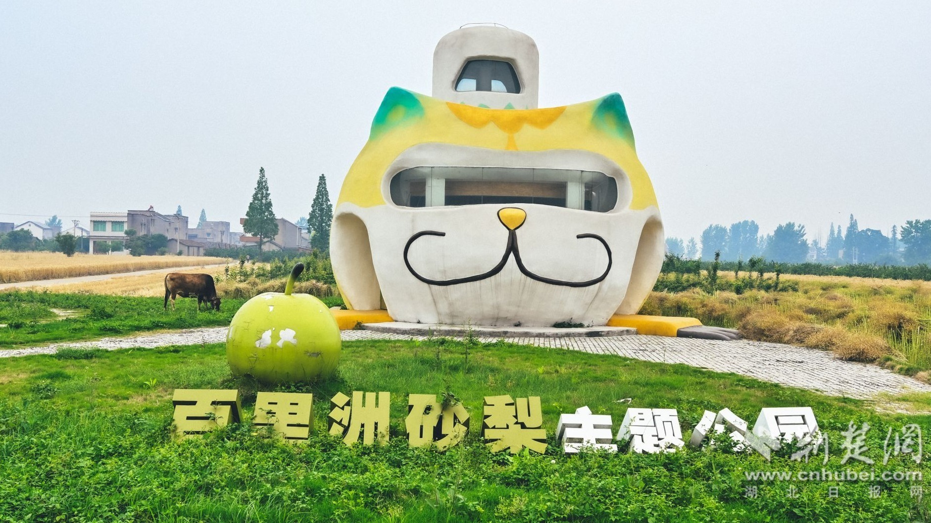 7a727a68d927700484c6e5dcc343ce9e_1881X1058_20260515205728